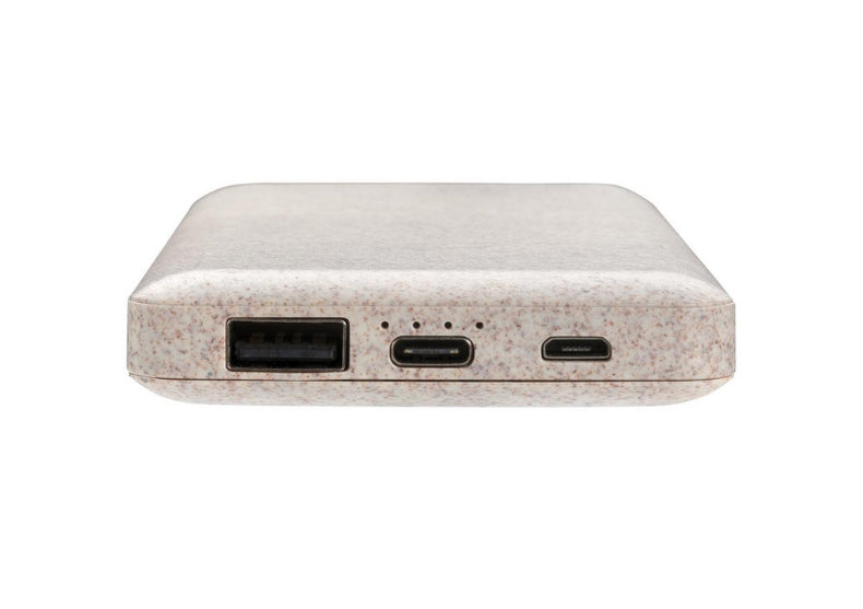 Powerbank fibre de grau