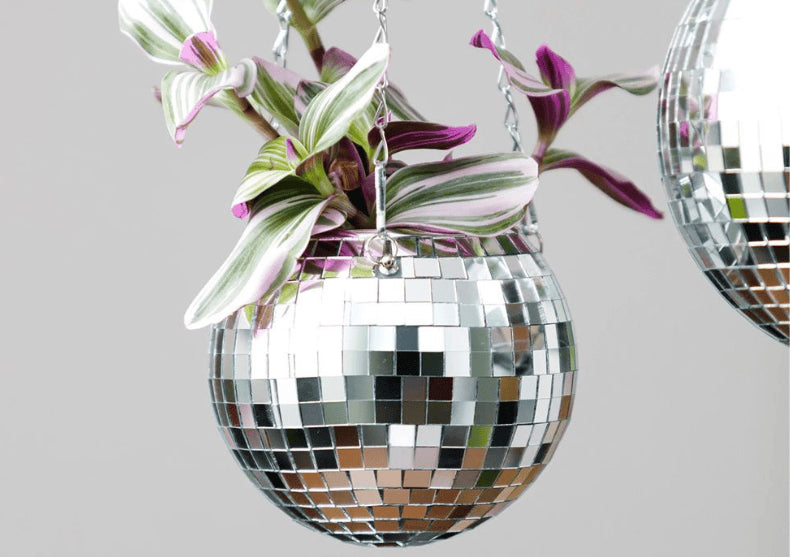 Ghiveci Disco Ball -- adauga funk frunzelor