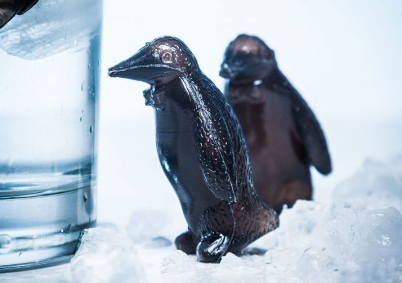 Pinguin Coolers