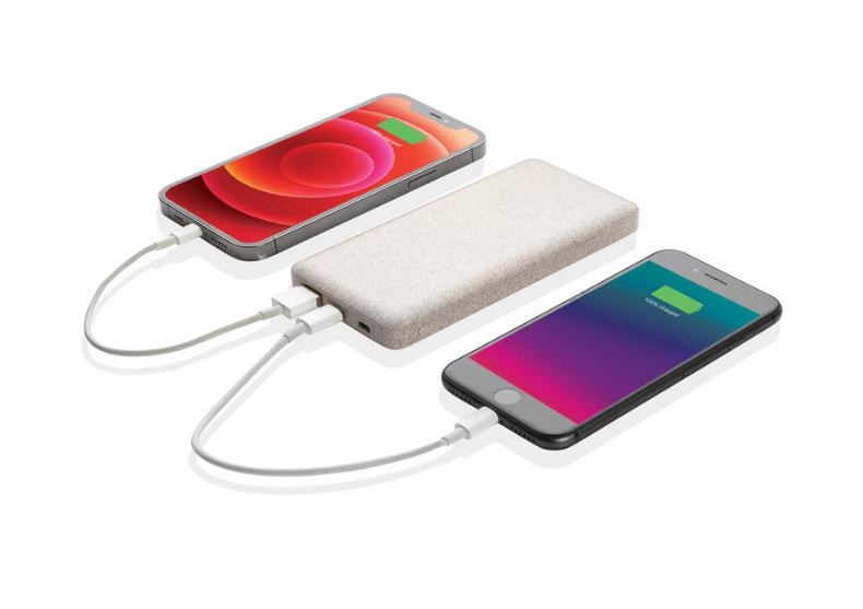 Powerbank fibre de grau