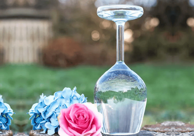 Pahar de vin Upside Down