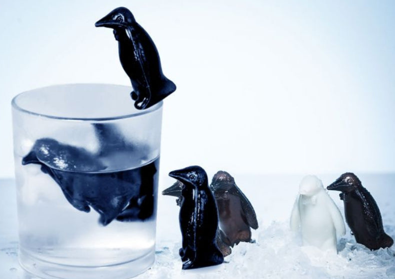 Pinguin Coolers