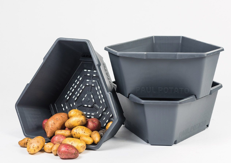 Paul Potato gradina verticala
