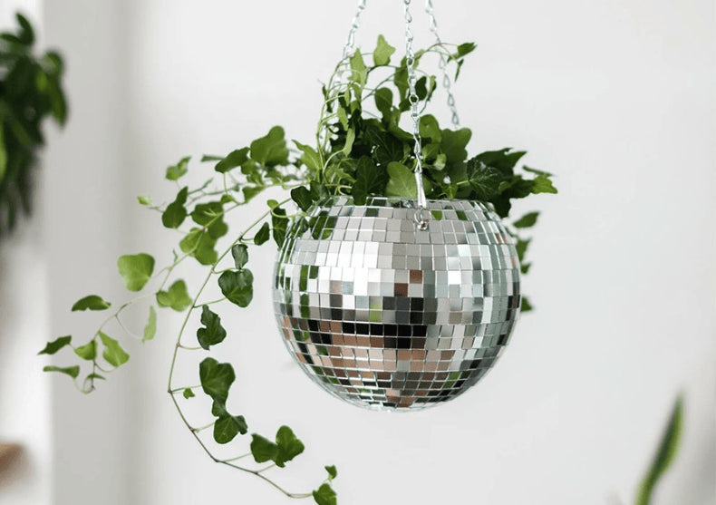 Ghiveci Disco Ball -- adauga funk frunzelor