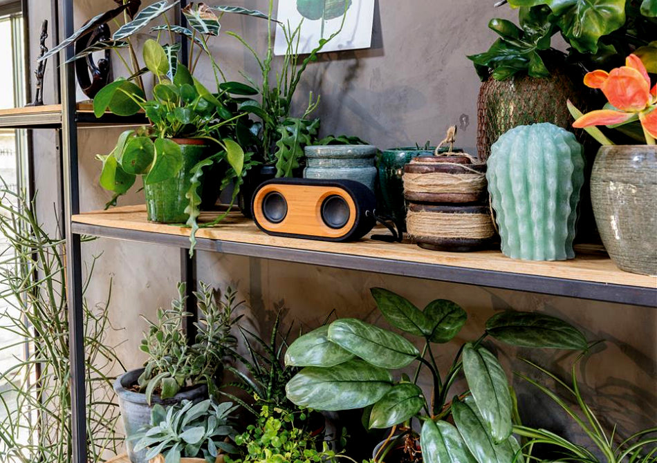 Bamboo X speaker double smuff