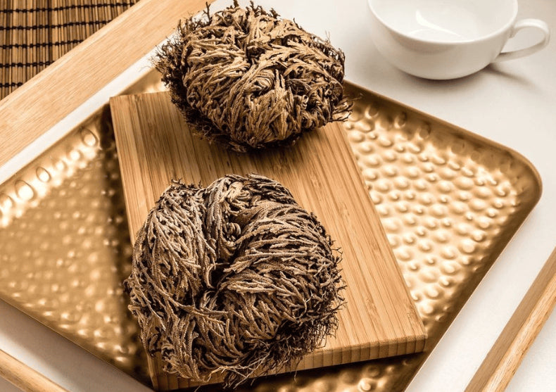 Planta Dinozaur - traieste 100 ani