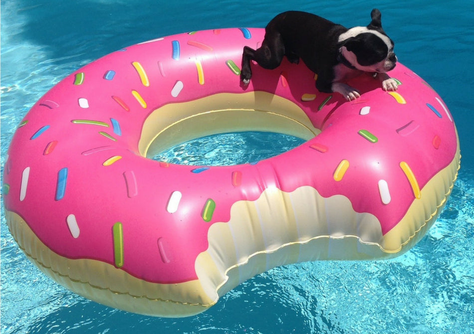 Gogoasa de piscina