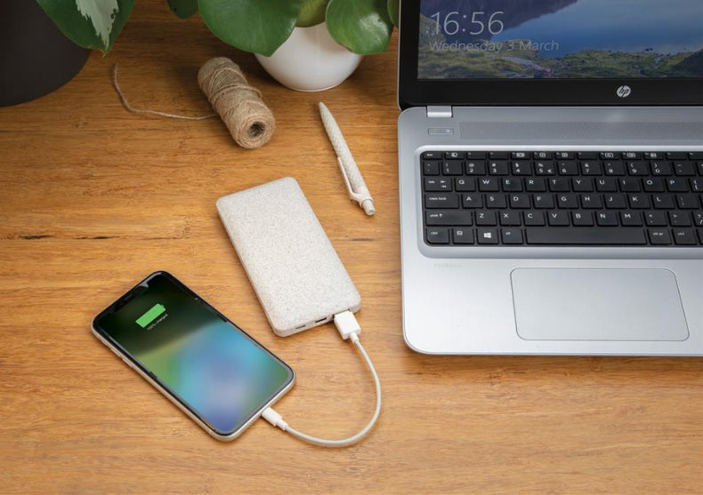 Powerbank fibre de grau
