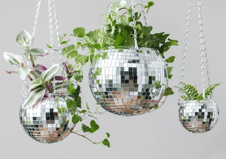 Ghiveci Disco Ball -- adauga funk frunzelor