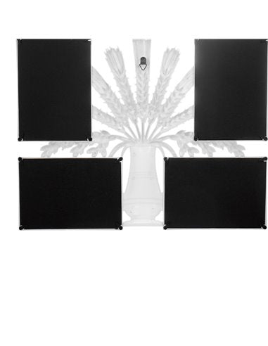 Rama foto Abundenta si Noroc -- spicul de aur