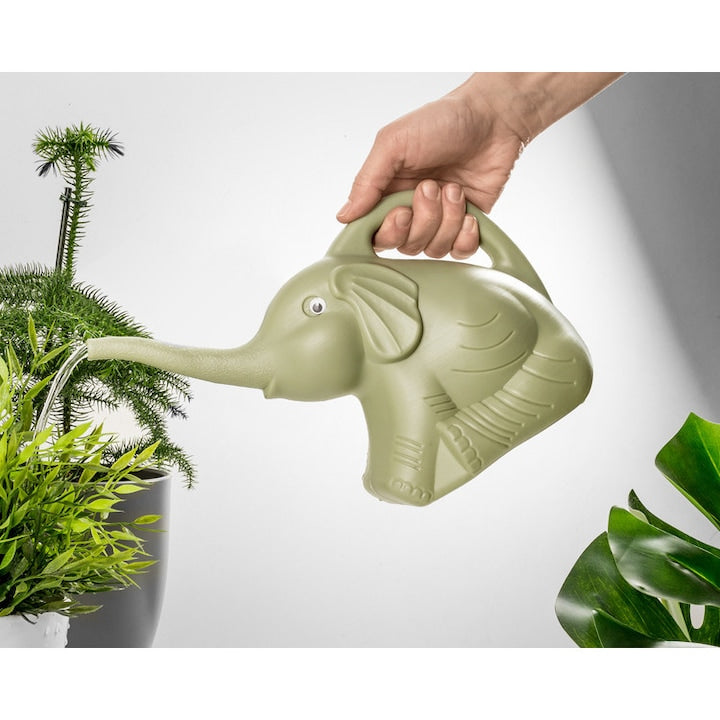 Stropitoare Elefant -- cadou pentru iubitorii de plante