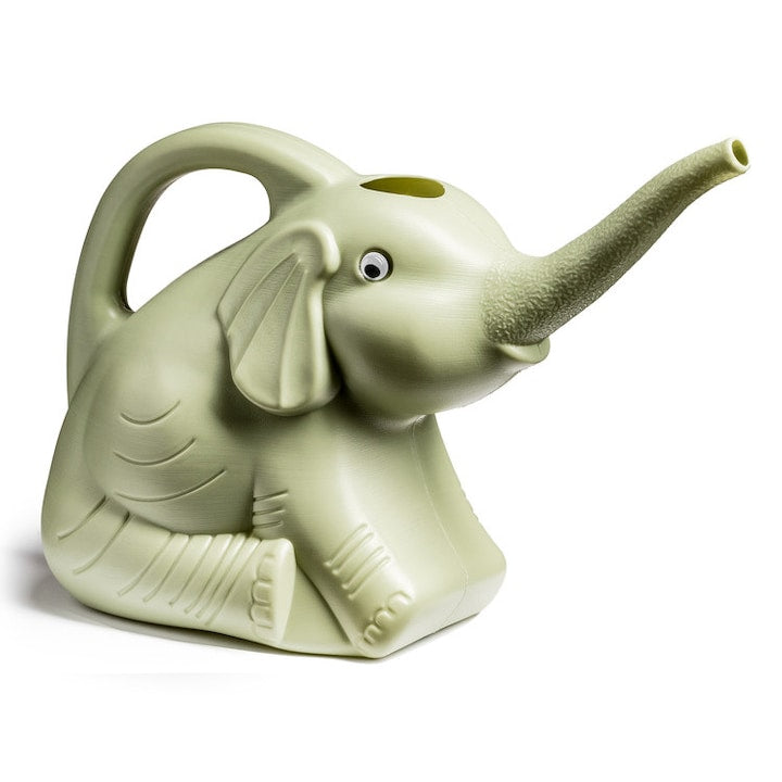 Stropitoare Elefant -- cadou pentru iubitorii de plante