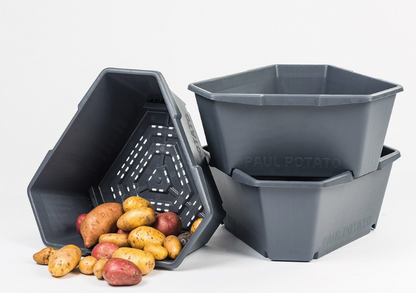 Paul Potato gradina verticala