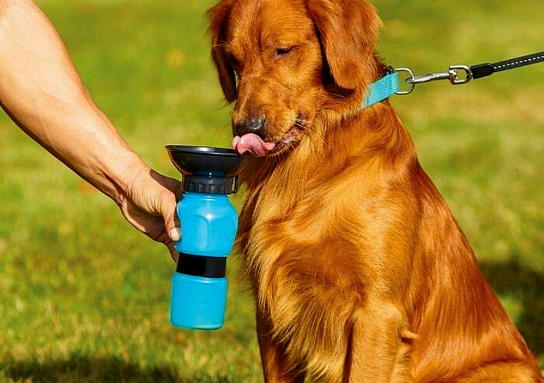 Sticla Pets - Albastru