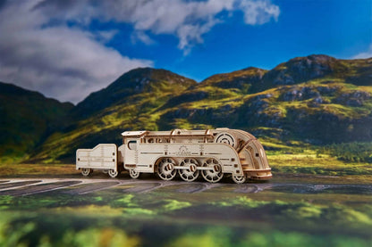 Mini Locomotiva