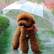 Pet Umbrella -- Si cainii au umbrele!