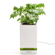 LeGrow Smart Garden - sistem smart pentru cultivat plante