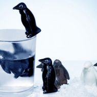 Pinguin Coolers – Sa inceapa petrecerea!