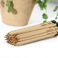 100 creioane plantabile