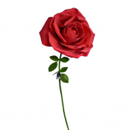 Trandafir XXL -- Pentru o impresie de durata