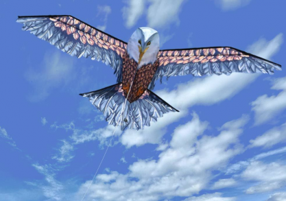 3D Eagle XXL kite -- Zboara pe aripile vantului